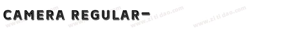 Camera Regular字体转换